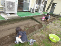 一緒にさつまいも